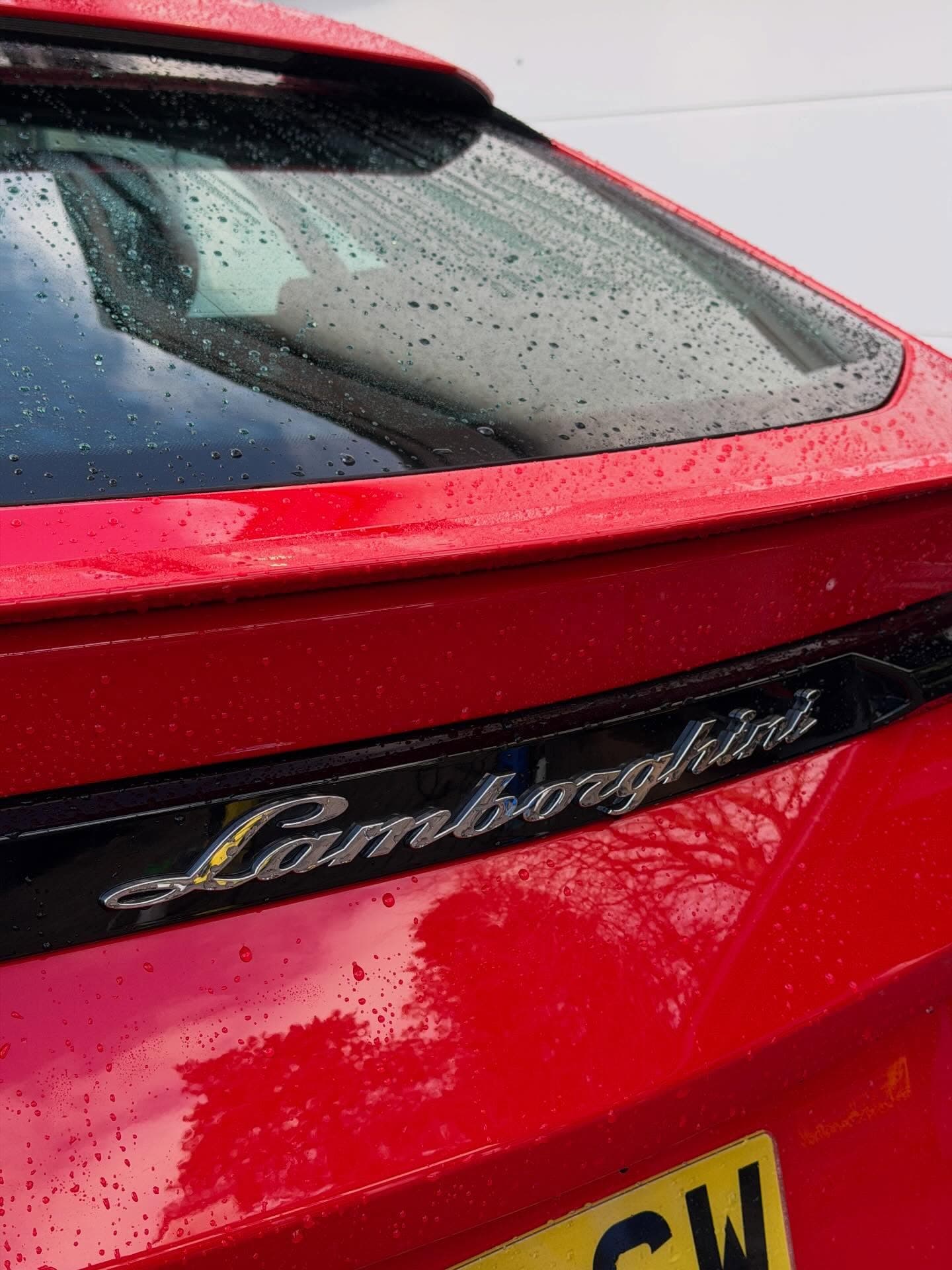 Gloss & Decontamination
